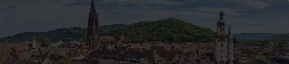 Freiburg – Blick über die Altstadt mit Münster